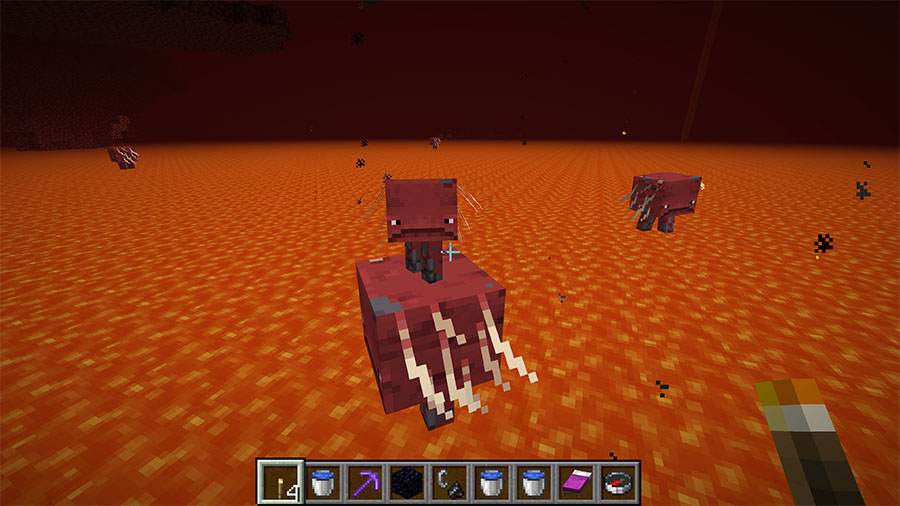 Guide: How To Make Infinite Lava In Minecraft 6 the Nether lava sea level floor